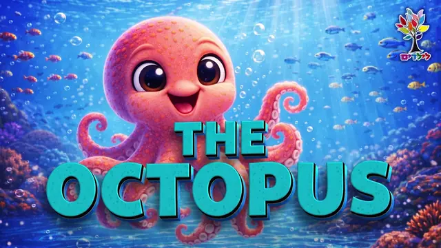 The Octopus